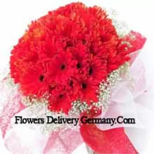 Un magnifique bouquet de 37 Gerberas rouges avec des remplissages saisonniers