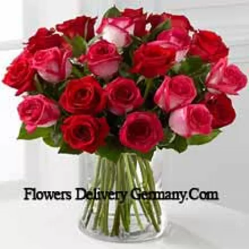 23 roses (11 rouges et 12 roses rose bicolores) avec des remplisseurs saisonniers dans un vase en verre